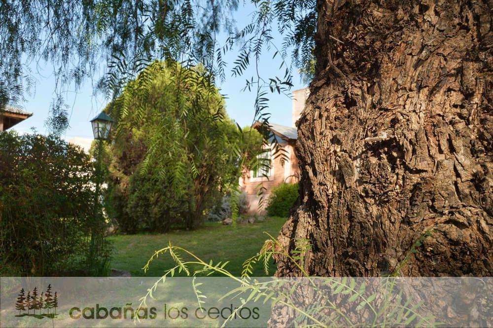 Отель Cabanas Los Cedros Танти Экстерьер фото